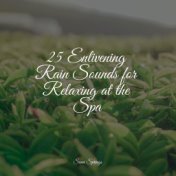 25 Enlivening Rain Sounds for Relaxing at the Spa