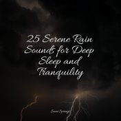 25 Serene Rain Sounds for Deep Sleep and Tranquility
