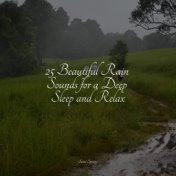 25 Beautiful Rain Sounds for a Deep Sleep and Relax