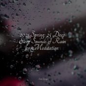 2021 Spring: 25 Deep Sleep Sounds of Rain for Meditation