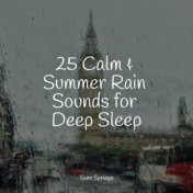 25 Calm & Summer Rain Sounds for Deep Sleep