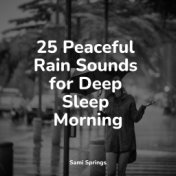 25 Peaceful Rain Sounds for Deep Sleep Morning