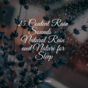 25 Content Rain Sounds - Natural Rain and Nature for Sleep