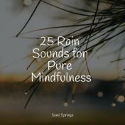 25 Rain Sounds for Pure Mindfulness