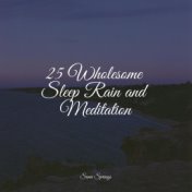 25 Wholesome Sleep Rain and Meditation