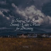 25 Sleep Aid Rain Sounds - Calm Music for Dreaming