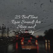 25 Bed Time Rain Sounds for Sleep and Serenity
