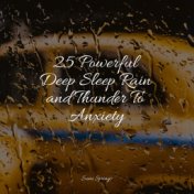 25 Powerful Deep Sleep Rain and Thunder To Anxiety