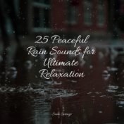 25 Peaceful Rain Sounds for Ultimate Relaxation