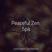 Peaceful Zen Spa