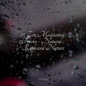 25 Zen Meditation Tracks - Natural Rain and Nature