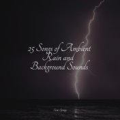 25 Songs of Ambient Rain and Background Sounds