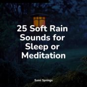 25 Soft Rain Sounds for Sleep or Meditation