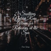 25 Soothing Nature Rain Album for Relaxing at the Spa