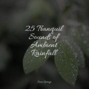 25 Tranquil Sounds of Ambient Rainfall