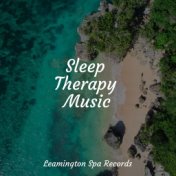 Sleep Therapy Music