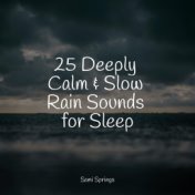 25 Deeply Calm & Slow Rain Sounds for Sleep