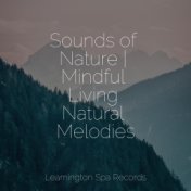 Sounds of Nature | Mindful Living Natural Melodies