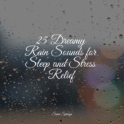 25 Dreamy Rain Sounds for Sleep and Stress Relief