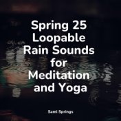 Spring 25 Loopable Rain Sounds for Meditation and Yoga