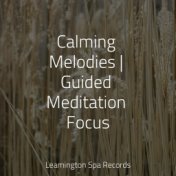 Calming Melodies | Guided Meditation Focus