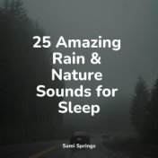 25 Amazing Rain & Nature Sounds for Sleep