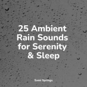 25 Ambient Rain Sounds for Serenity & Sleep