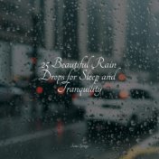 25 Beautiful Rain Drops for Sleep and Tranquility
