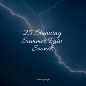 25 Stunning Summer Rain Sounds