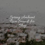 Spring Ambient Rain Sounds for Sleep