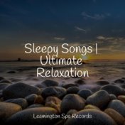 Sleepy Songs | Ultimate Relaxation