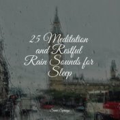 25 Meditation and Restful Rain Sounds for Sleep
