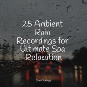 25 Ambient Rain Recordings for Ultimate Spa Relaxation