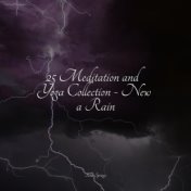 25 Meditation and Yoga Collection - New a Rain