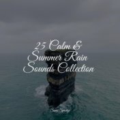 25 Calm & Summer Rain Sounds Collection