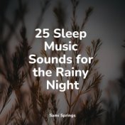25 Sleep Music Sounds for the Rainy Night