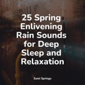 25 Spring Enlivening Rain Sounds for Deep Sleep and Relaxation