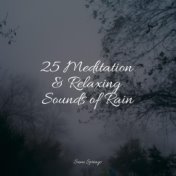25 Meditation & Relaxing Sounds of Rain