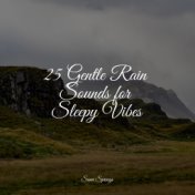 25 Gentle Rain Sounds for Sleepy Vibes