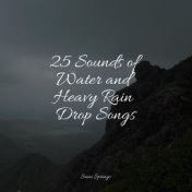25 Sounds of Water and Heavy Rain Drop Songs
