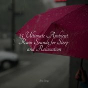 25 Ultimate Ambient Rain Sounds for Sleep and Relaxation