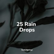 25 Rain Drops