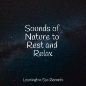 Sounds of Nature to Rest and Relax