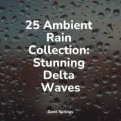 25 Ambient Rain Collection: Stunning Delta Waves