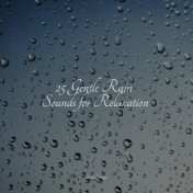 25 Gentle Rain Sounds for Relaxation