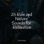 25 Rain and Nature Sounds for Relaxation