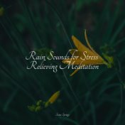 Rain Sounds for Stress Relieving Meditation