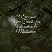 25 Summer Rain Tracks for Relaxation & Meditation