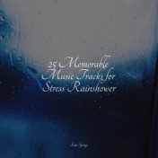 25 Memorable Music Tracks for Stress Rainshower