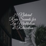 25 Natural Rain Sounds for Zen Meditation & Relaxation